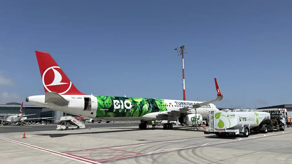thyAA 27692697 Türk Hava Yolları, Airbus A321'i yeşile boyadı